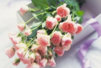 真正厉害的人 都拥有深度沉浸的能力