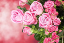 一个家幸福的模样：净气、烟火气、书香气