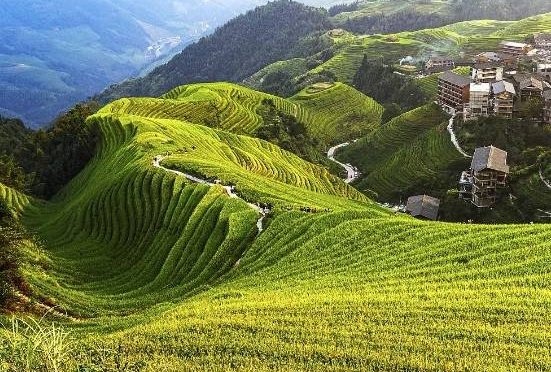 你的坚持 终将美好